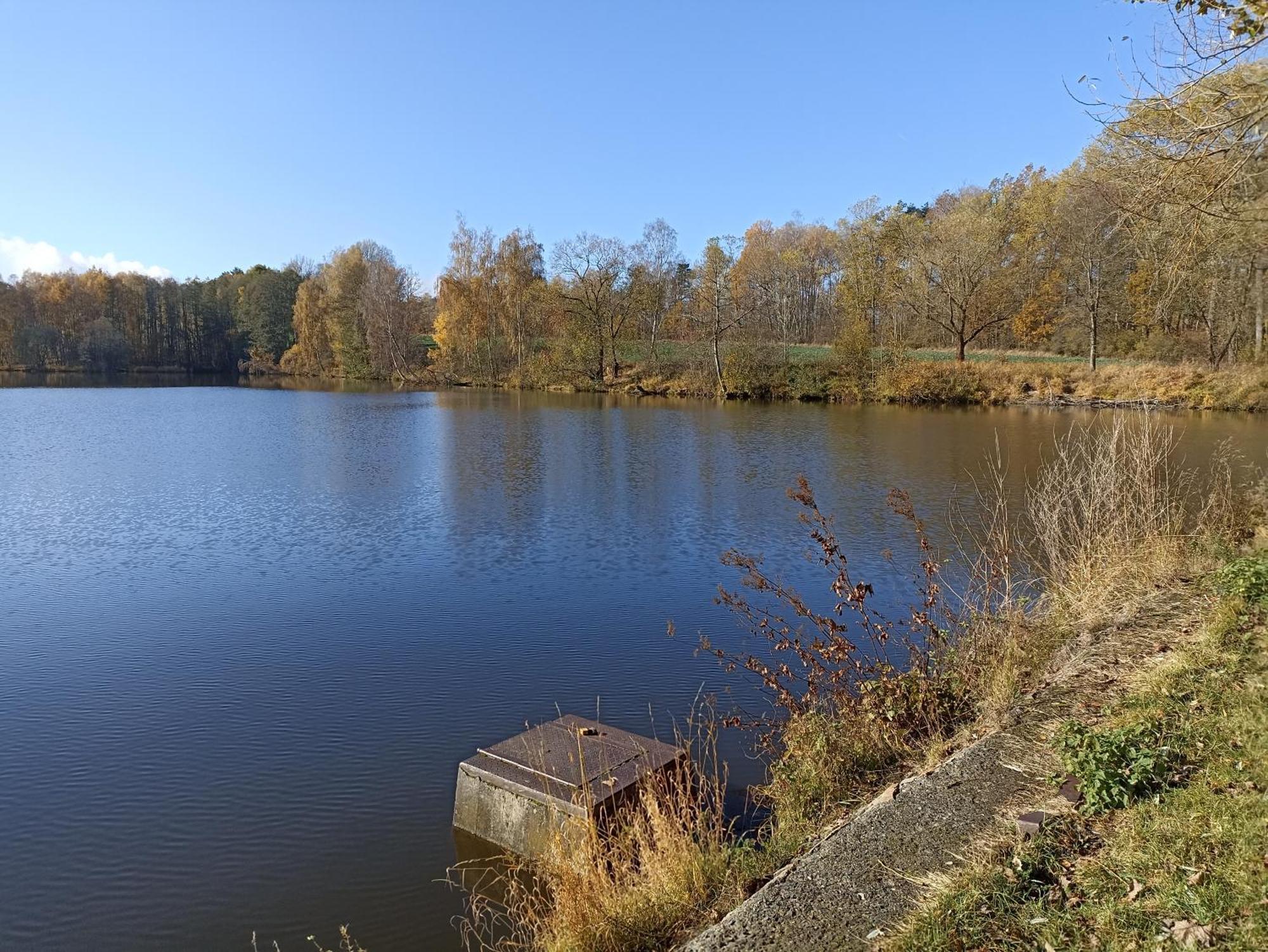 Chalupa V Ceskem Lese Bela nad Radbuzou Exterior photo
