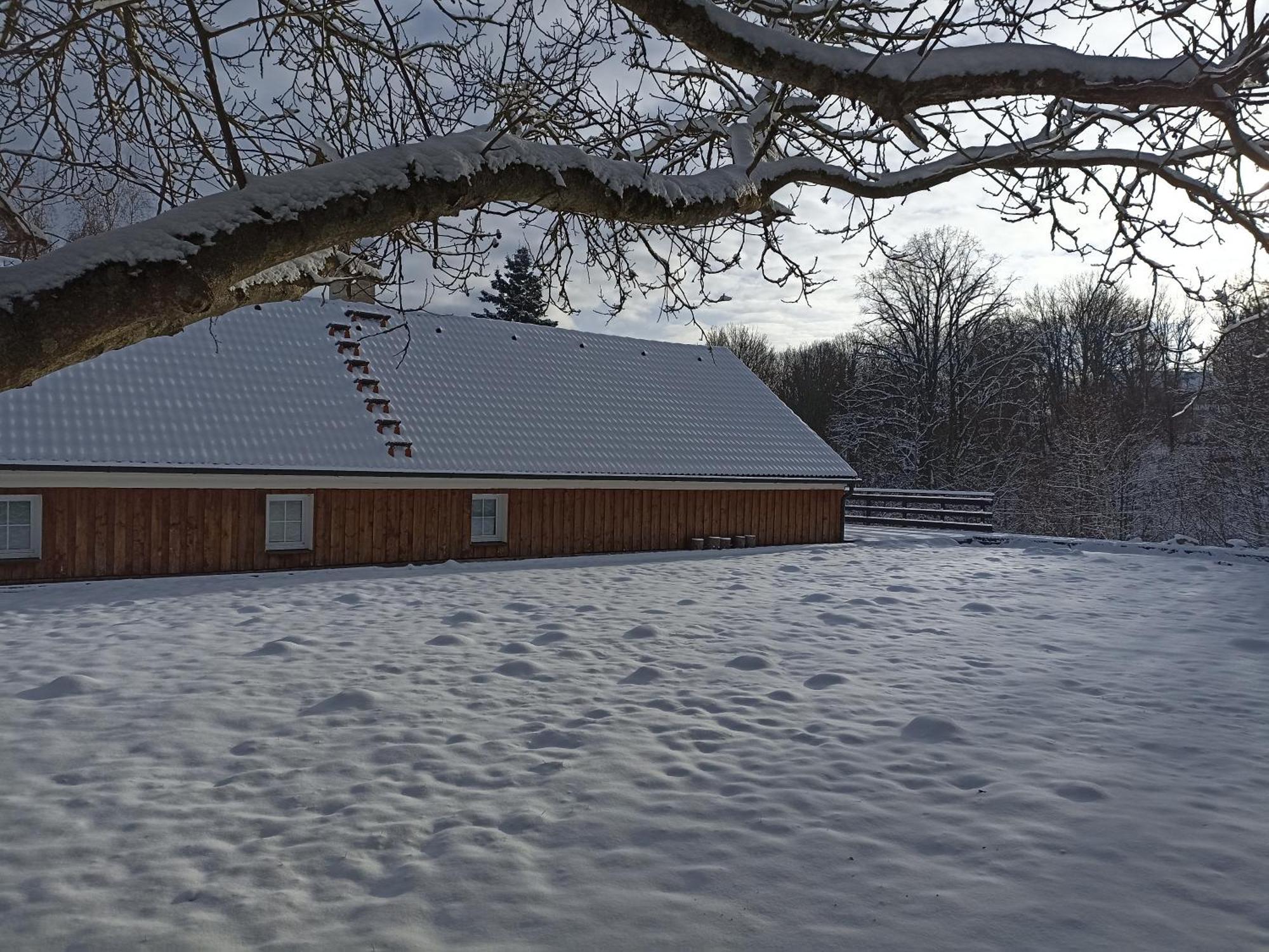 Chalupa V Ceskem Lese Bela nad Radbuzou Exterior photo